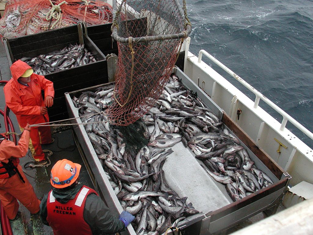 How overfishing threatens the world's oceans—and why it could end